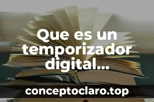 Que es un temporizador digital programable