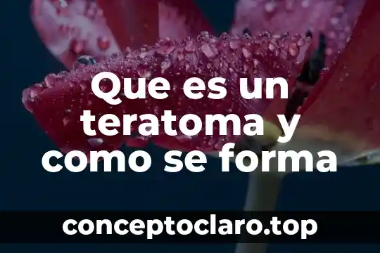 Que es la personalidad de que ser forma 3 Que es un teratoma y como se forma