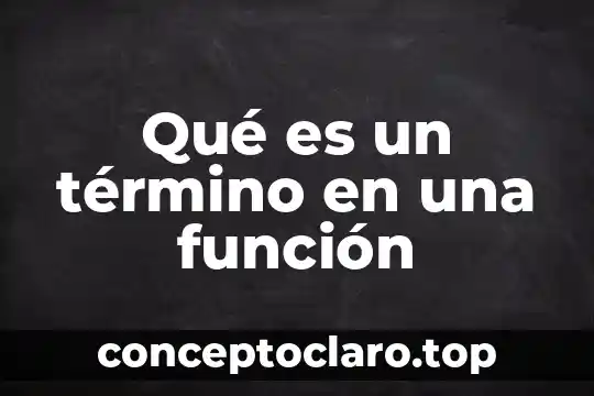 Qué es un recién nacido término 6 Qué es un término en una función