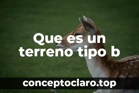 Que es un terreno tipo b