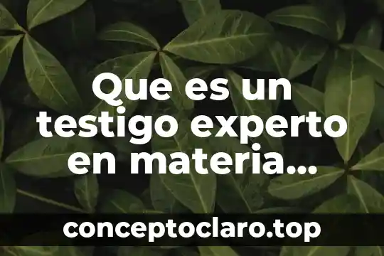 Que es e derecho penal 3 Que es un testigo experto en materia penal