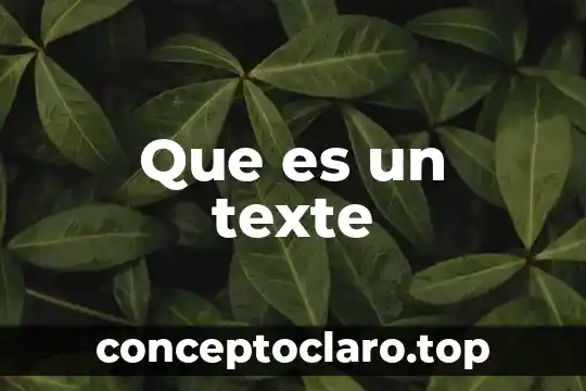 Que es un texte