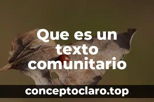 Que es servicio comunitario concepto 8 Que es un texto comunitario