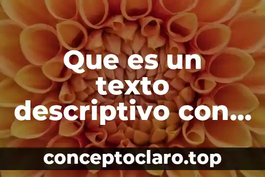 Que es un texto descriptivo con ejemplo