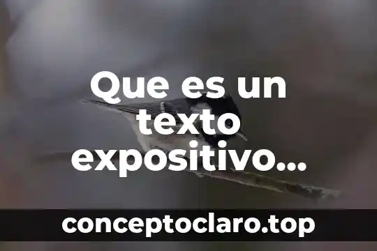 Que es un texto expositivo partes