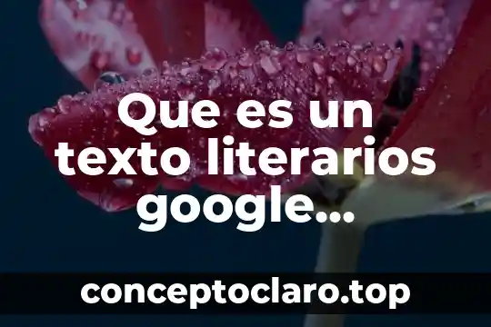 Definición de lo que es capital 3 Que es un texto literarios google educacion