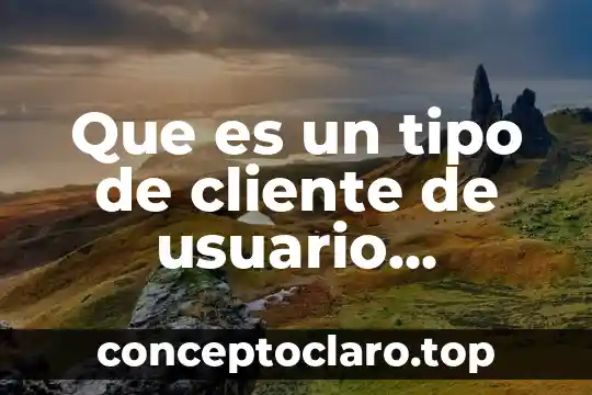 Que es un tipo de cliente de usuario general