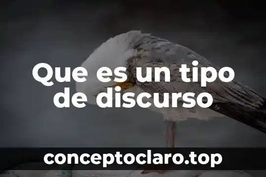Que es un tipo de discurso