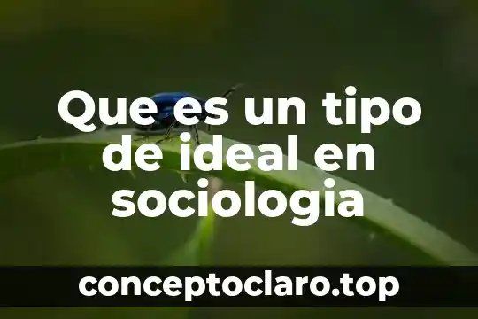 Que es un tipo de ideal en sociologia