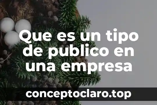 Que es un tipo de publico en una empresa
