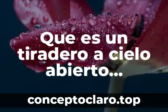 Que es un tiradero a cielo abierto definicion