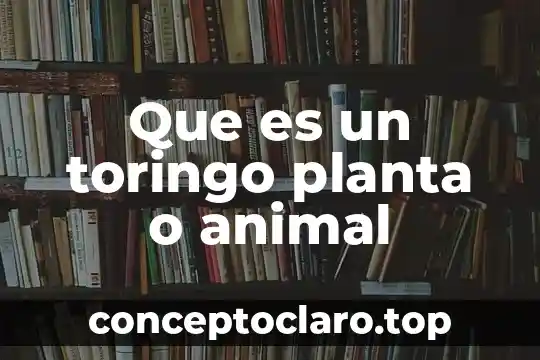 Que es un toringo planta o animal