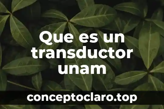 Que es un transductor unam