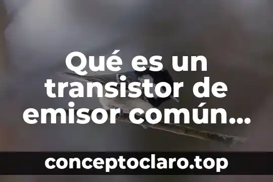 Que es un año base 6 Qué es un transistor de emisor común y base común