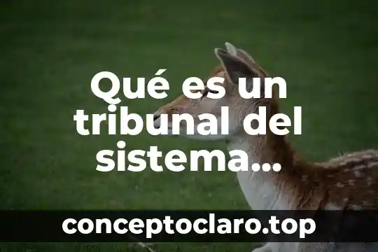 Qué es el imperialismo en historia universal contemporánea 5 Qué es un tribunal del sistema universal