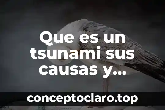 Que es un tsunami sus causas y consecuencias