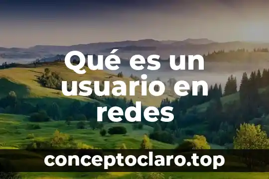 Qué es un usuario en redes