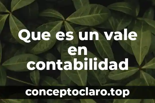 Que es un vale en contabilidad