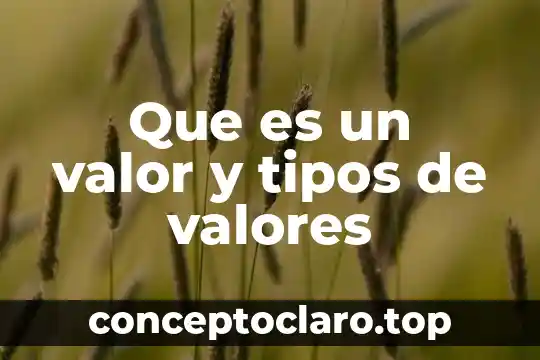 Que es un valor y tipos de valores