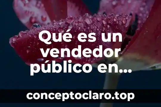 Qué es un vendedor público en microeconomía