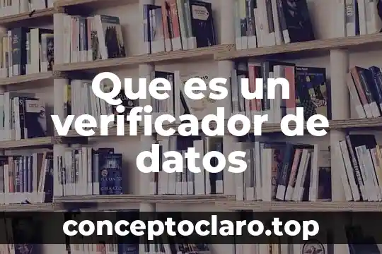 Qué es lineamientos en los datos 3 Que es un verificador de datos