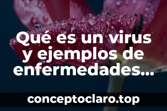 Qué es un virus y ejemplos de enfermedades provoca