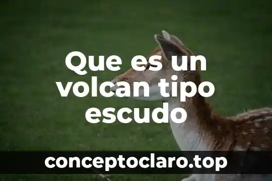 Que es un volcan tipo escudo