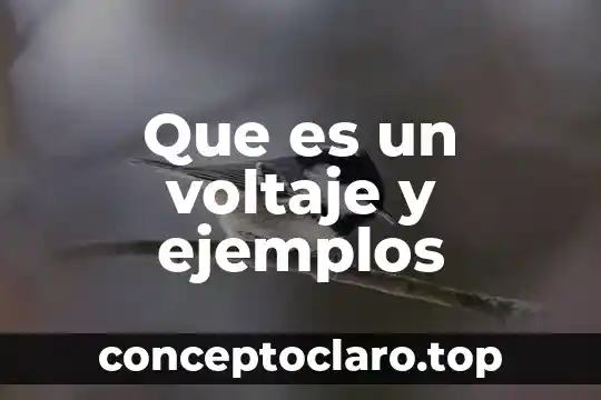 Que es un voltaje y ejemplos