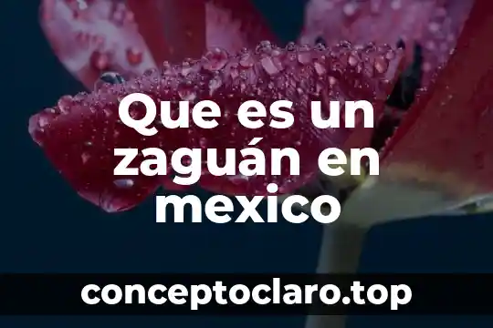 Que es un zaguán en mexico