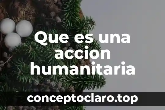 Que es acción colectiva 4 Que es una accion humanitaria