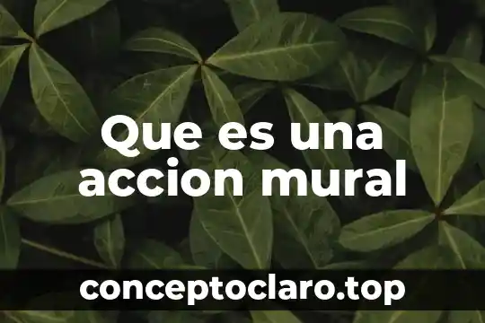 Que es una accion mural