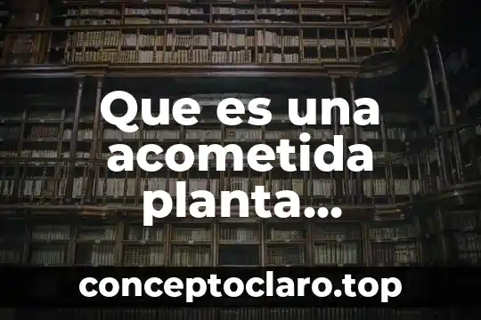 Que es la planta liston 8 Que es una acometida planta hidraulica
