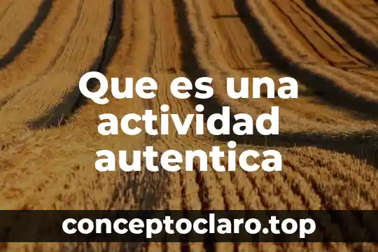 Que es una actividad autentica