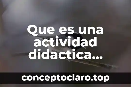 ¿Qué es arquetipo definición? 6 Que es una actividad didactica definicion