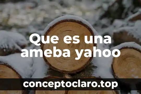 Que es una ameba yahoo