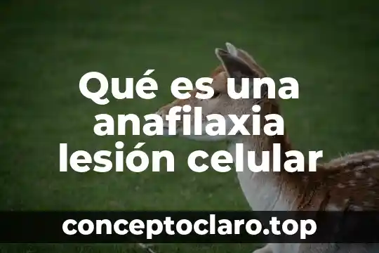 Qué es una anafilaxia lesión celular