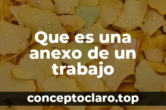Que es una anexo de un trabajo