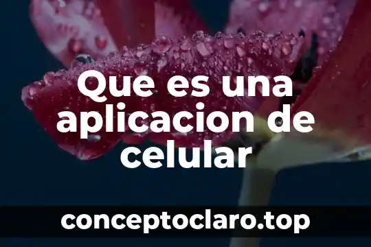 Lanzar aplicación por actividad principal que es significa 6 Que es una aplicacion de celular