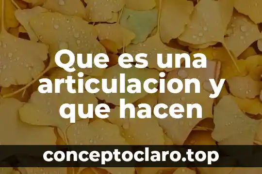 Qué es el enamorami y qué hacen 5 Que es una articulacion y que hacen
