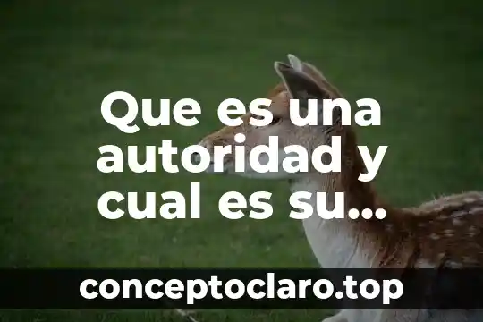 Que es una autoridad y cual es su funcion