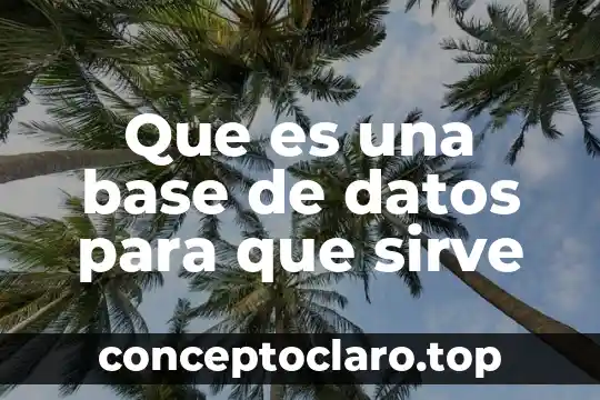 Que es una base de datos para que sirve