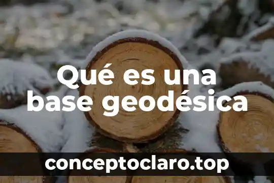 Qué es una base geodésica