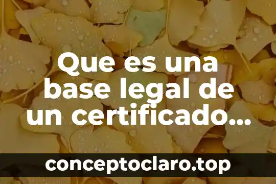 Origen del metro y su significado 5 Que es una base legal de un certificado de origen