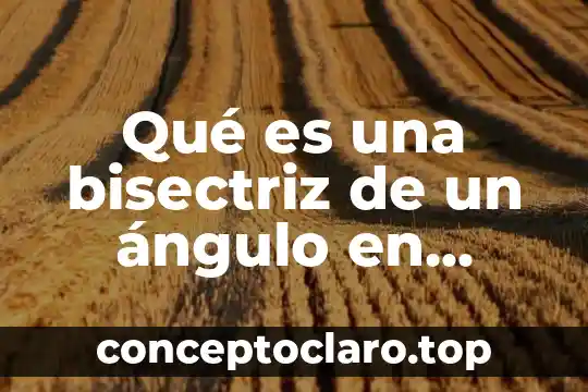 Qué es una bisectriz de un ángulo en matemáticas