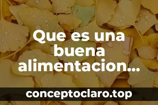 Que es una buena alimentacion en calidad de vida