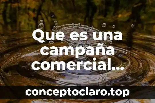 Que es la balanzas comercial 5 Que es una campaña comercial centralizada