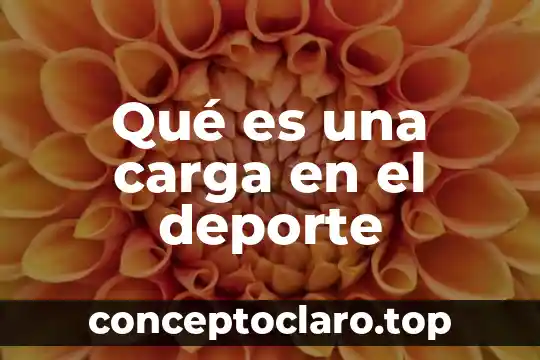 Qué es una carga en el deporte