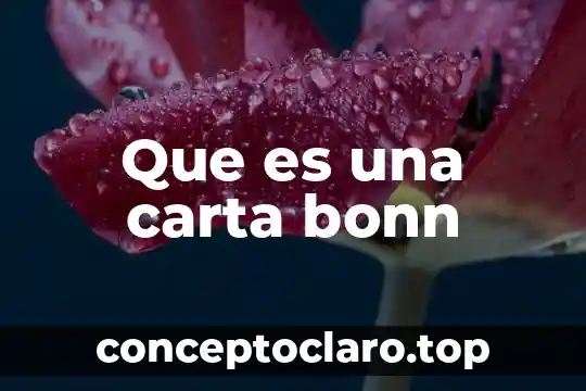 Que es una carta bonn