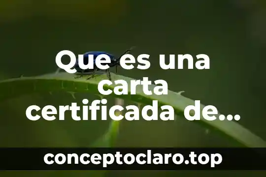 Que es una carta certificada de la escuela 5 Que es una carta certificada de hacienda