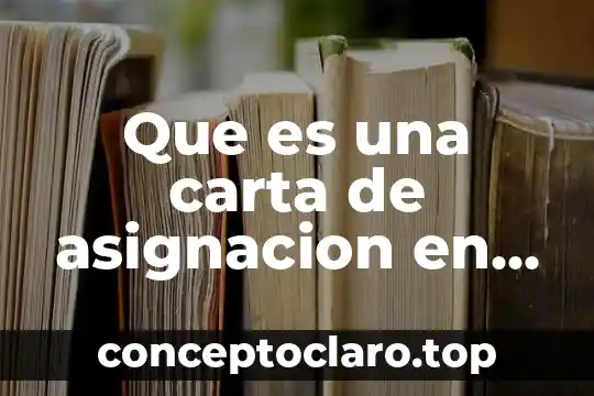 Que es un nombre de año en una carta 8 Que es una carta de asignacion en construccion